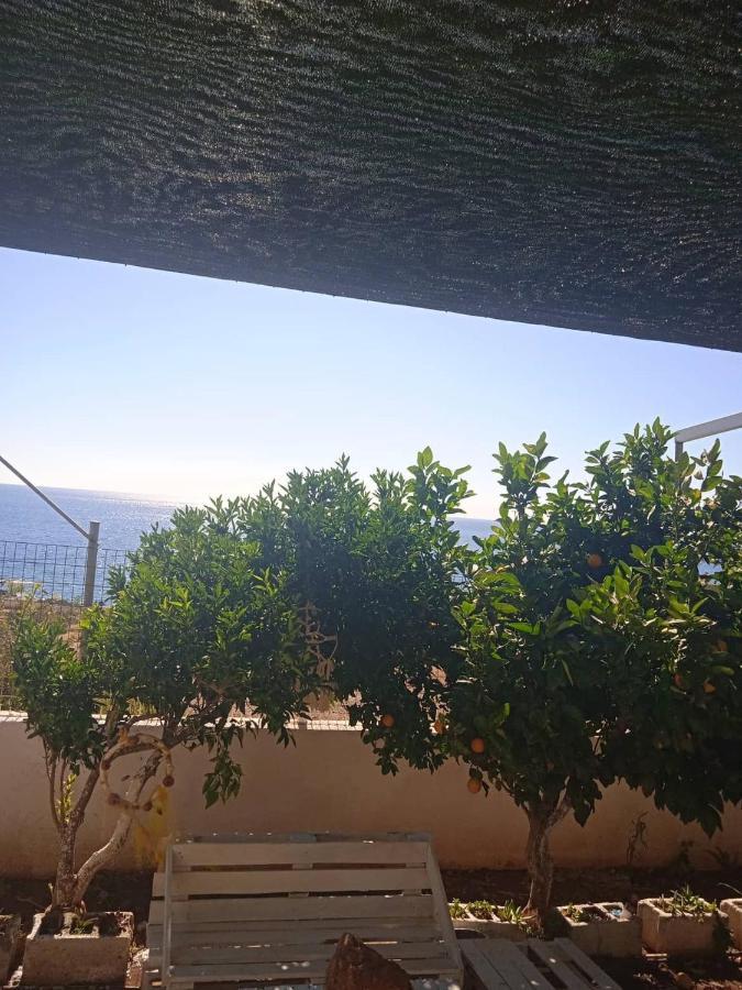 Kapetanianá Studios Anna Maria With Sea View מראה חיצוני תמונה