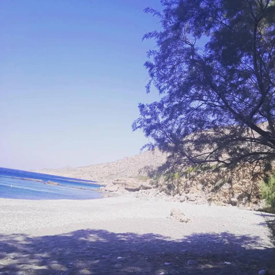Kapetanianá Studios Anna Maria With Sea View מראה חיצוני תמונה