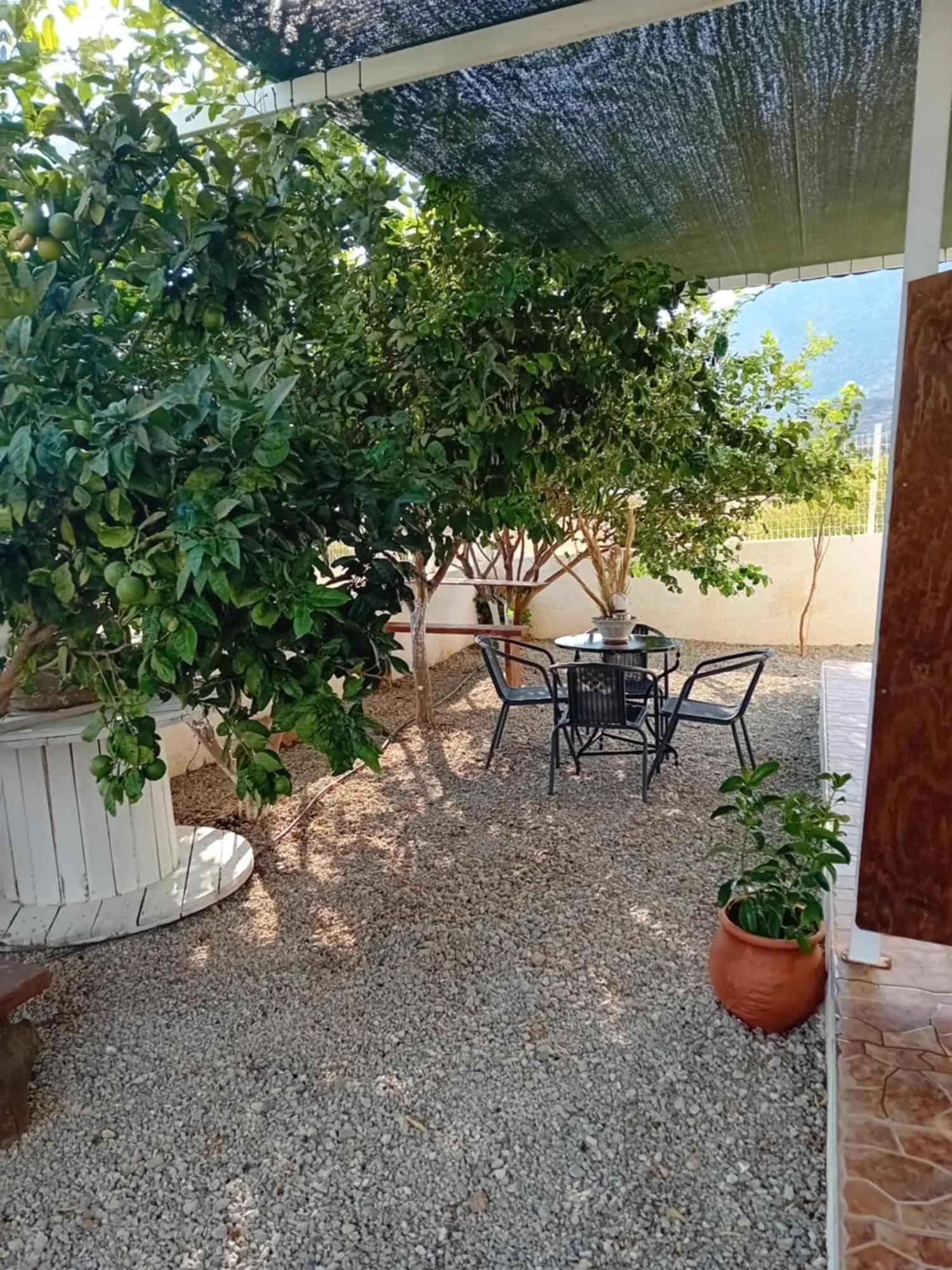 Kapetanianá Studios Anna Maria With Sea View מראה חיצוני תמונה
